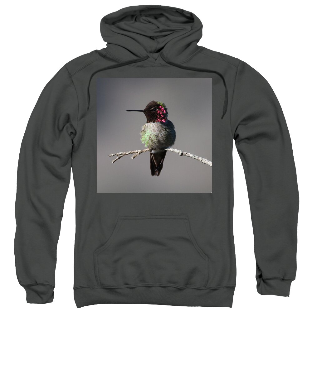 California Sweatshirt featuring the photograph copyright twentytwenty Anna's Hummingbird by Perry Hoffman