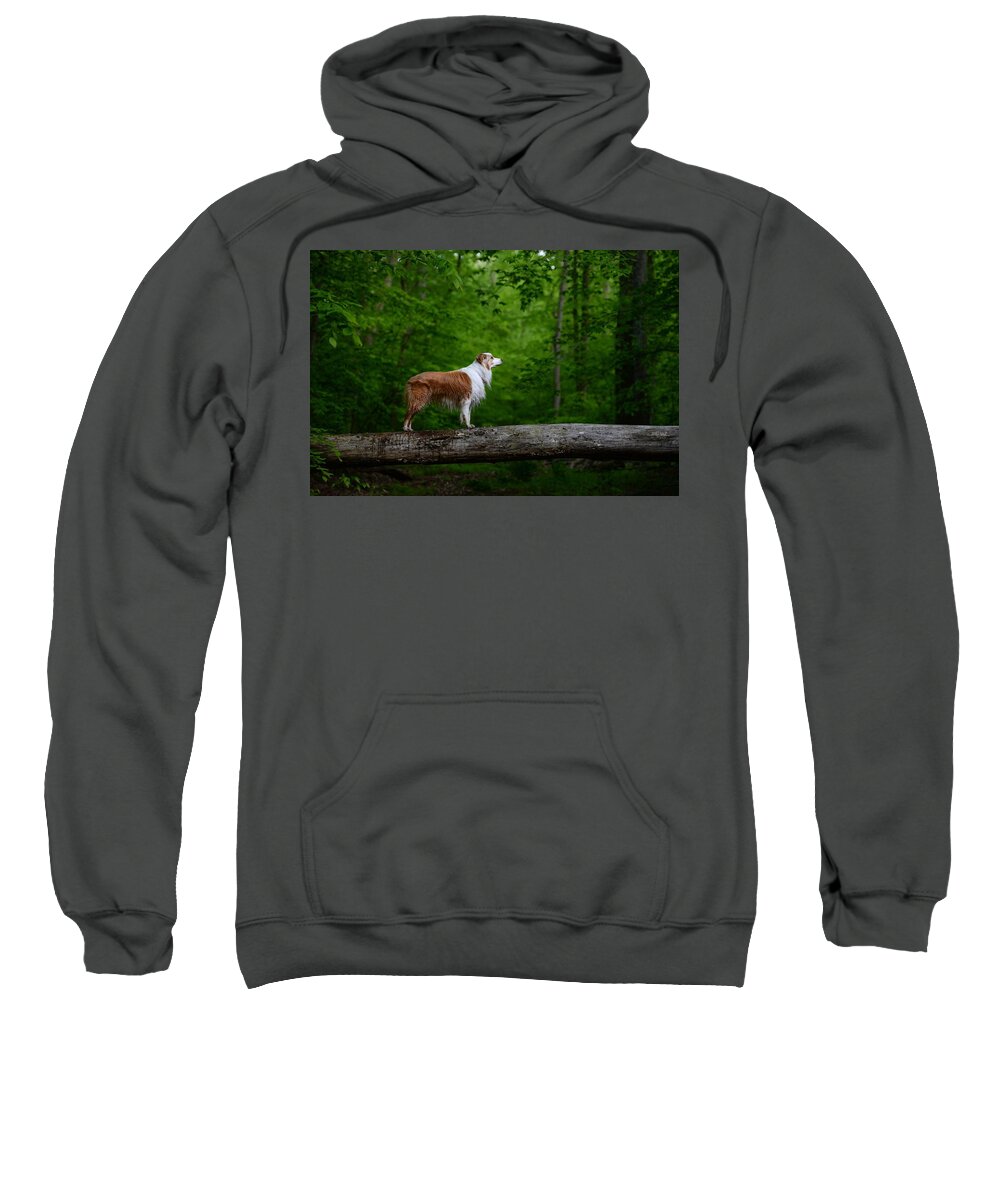 Australian Shepherd Sweatshirt featuring the digital art Australian Shepherd #2 by Maye Loeser
