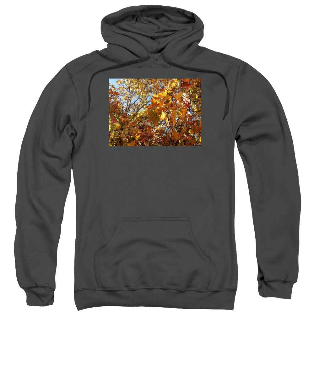 Leaves Sweatshirt featuring the photograph Autumn Leaves #2 by Wolfgang Schweizer