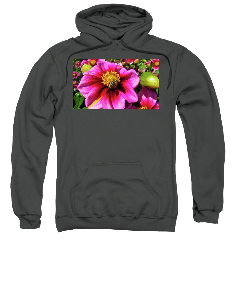 Flower Sweatshirt featuring the photograph bee #2 by Cesar Vieira
