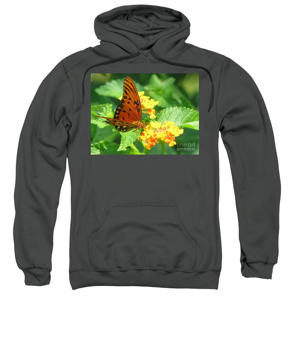 Butterfly Sweatshirt featuring the photograph Butterfly #2 by Amanda Barcon