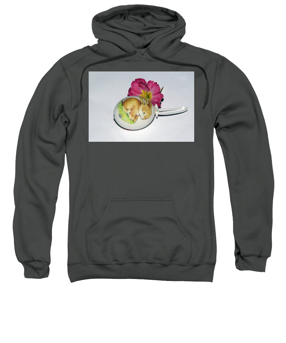 Easter Eggs Sweatshirt featuring the photograph Easter Eggs #2 by Elvira Ladocki
