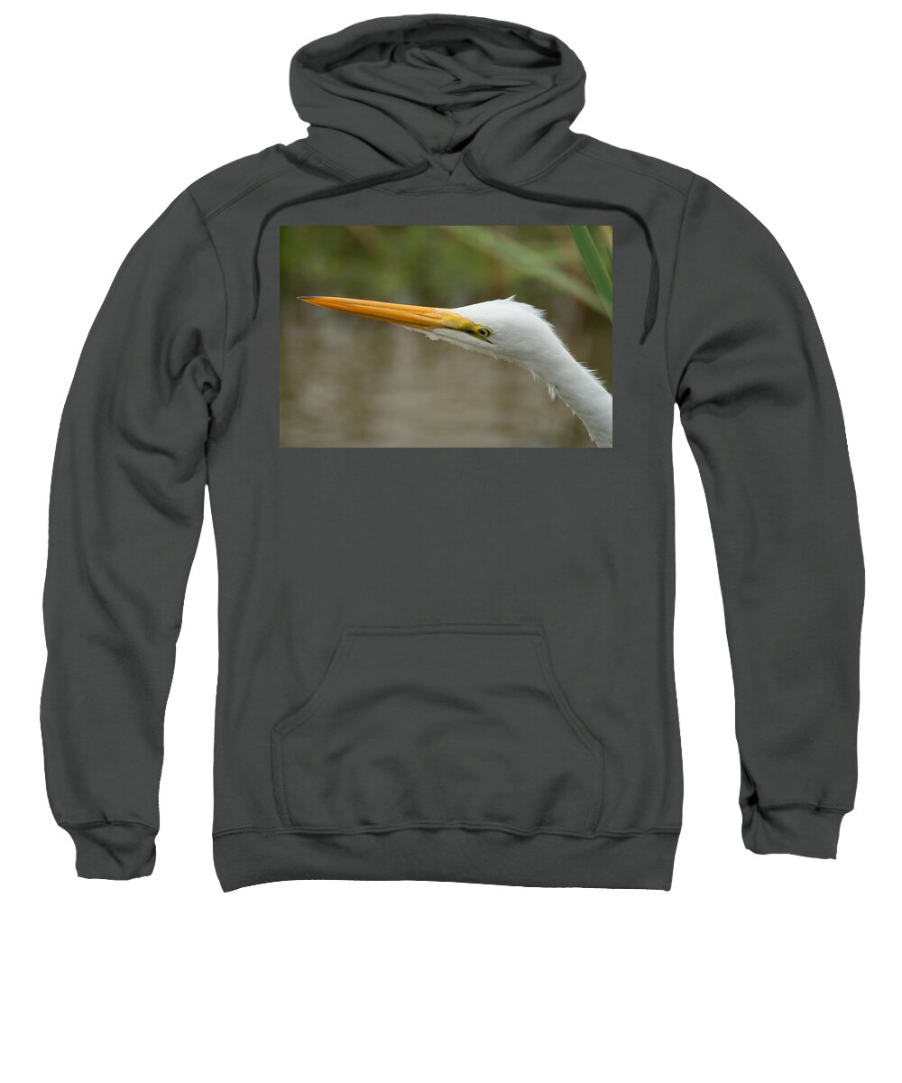 Great Egret Sweatshirt featuring the photograph Great Egret by Frank Madia