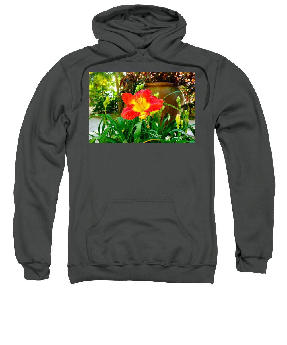Beautiful Sweatshirt featuring the photograph Pretty flower by Raul Rodriguez