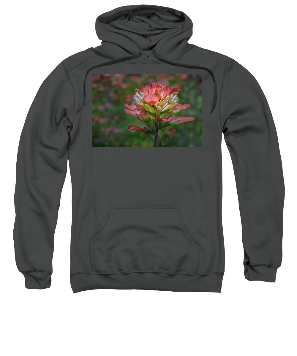 Indian Paint Brush Sweatshirt featuring the photograph Spring Colors #3 by James Woody
