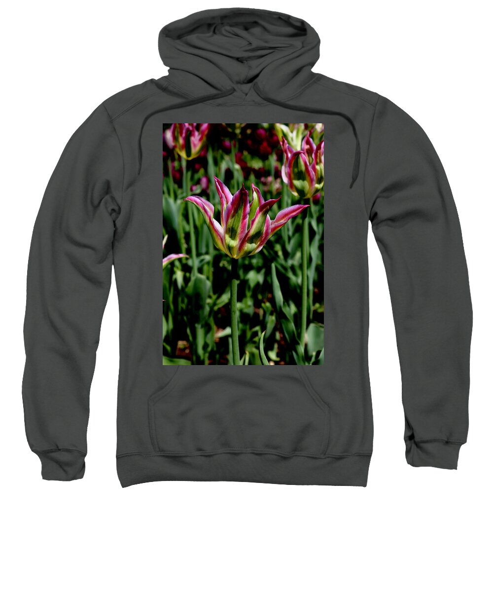 Tulip Sweatshirt featuring the photograph Tulip #2 by Sarah Lilja