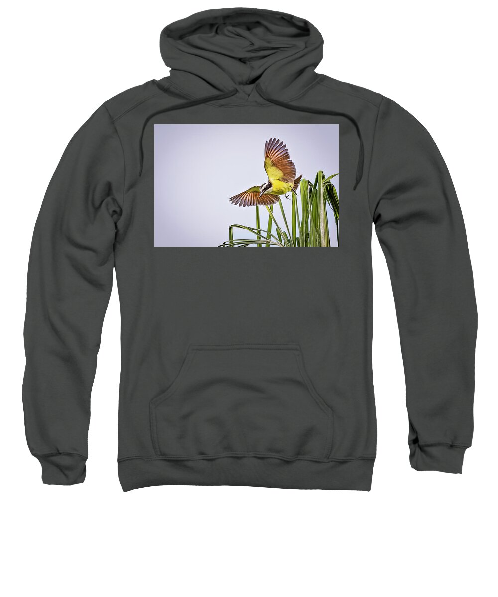 Animal Sweatshirt featuring the photograph Great Crested Flycatcher #3 by Peter Lakomy