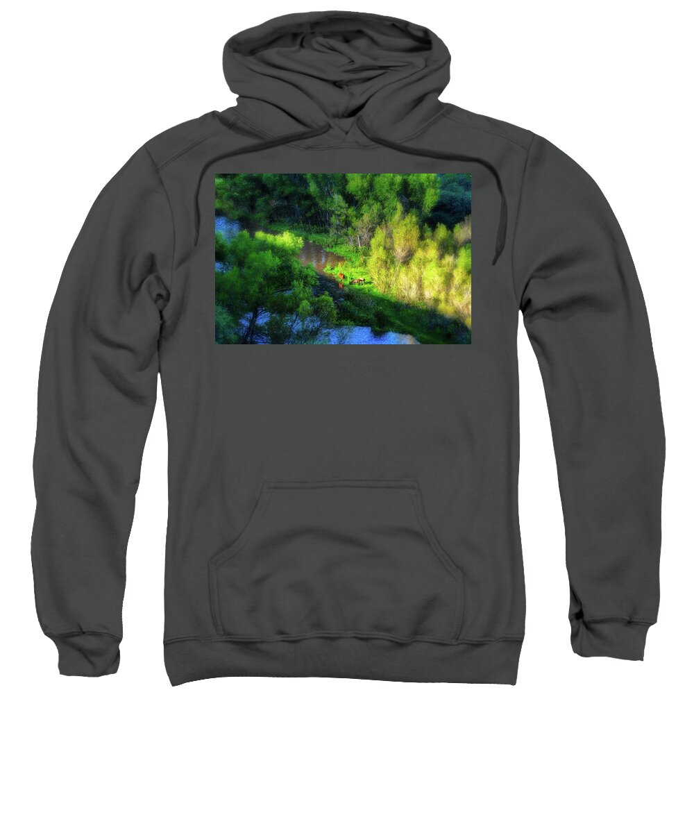 Animals Sweatshirt featuring the photograph 3 Horses grazing on the bank of the Verde River by Robert FERD Frank