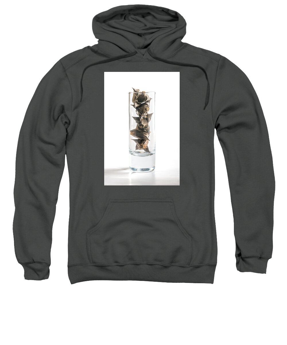 Trapa Natans Also Called Water Chestnuts Adult Pull-Over Hoodie by Alain De  Maximy - Pixels