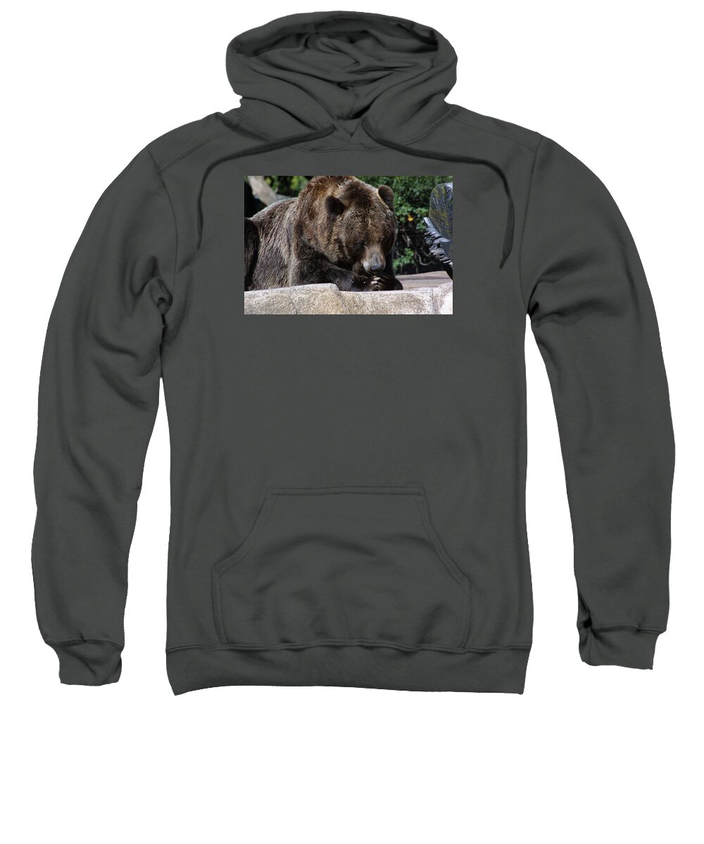 Zoo Sweatshirt featuring the photograph Zoo Scapes #5 by Jean Wolfrum