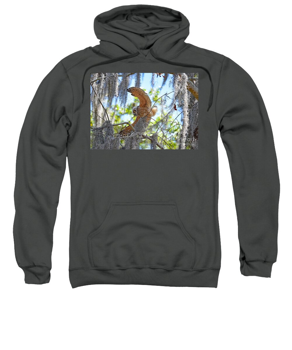  Sweatshirt featuring the photograph 5375 by Don Solari