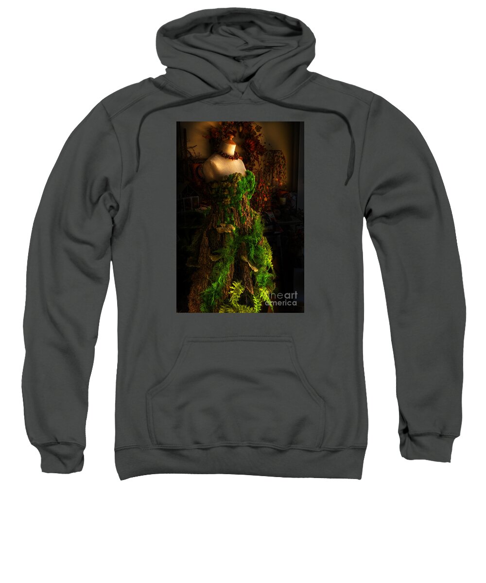 A Gown For A Faerie Princess Sweatshirt featuring the digital art A Gown for a Faerie Princess by William Fields