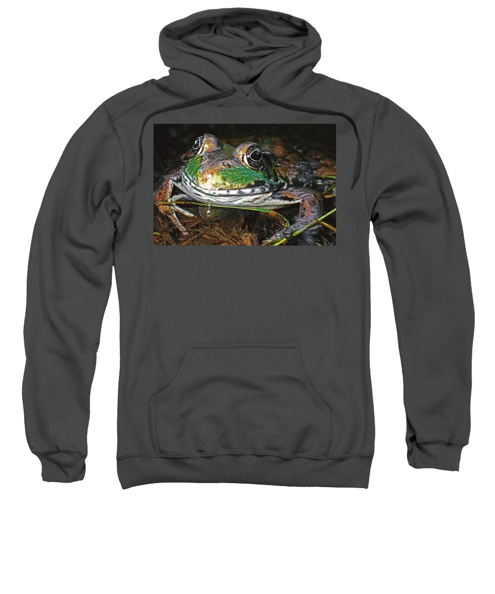 Green Frog Sweatshirt featuring the photograph A kiss by Asbed Iskedjian