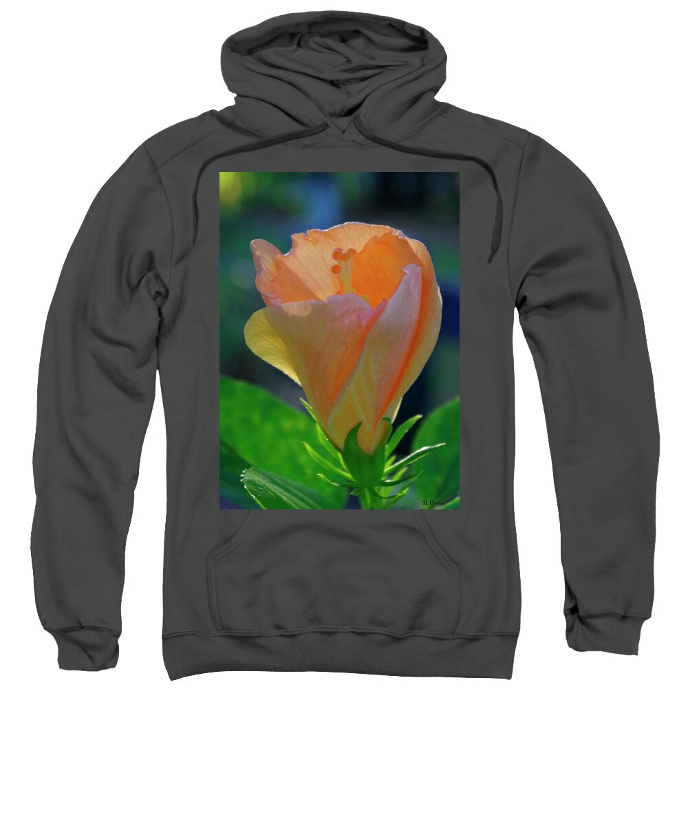 Nature Sweatshirt featuring the photograph A new day. by Bess Carter