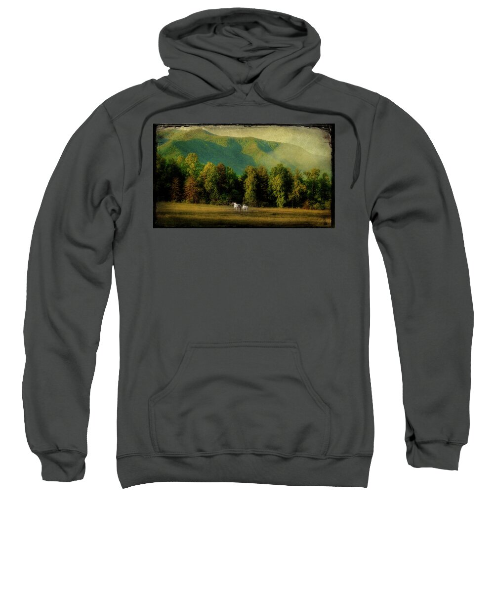 Cades Cove Sweatshirt featuring the photograph A Pair by Mike Eingle