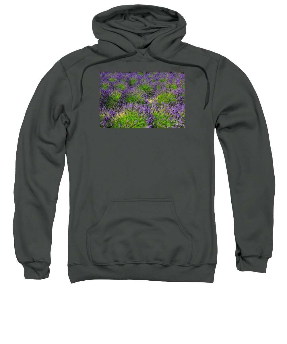 Bouches-du-rhone Sweatshirt featuring the photograph A Pattern of Lavender by Peter Noyce