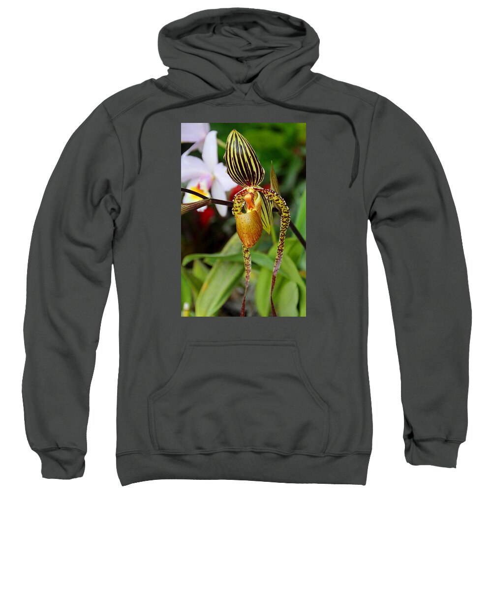 Orchid Sweatshirt featuring the photograph A Slipper in the Shadows by Michiale Schneider