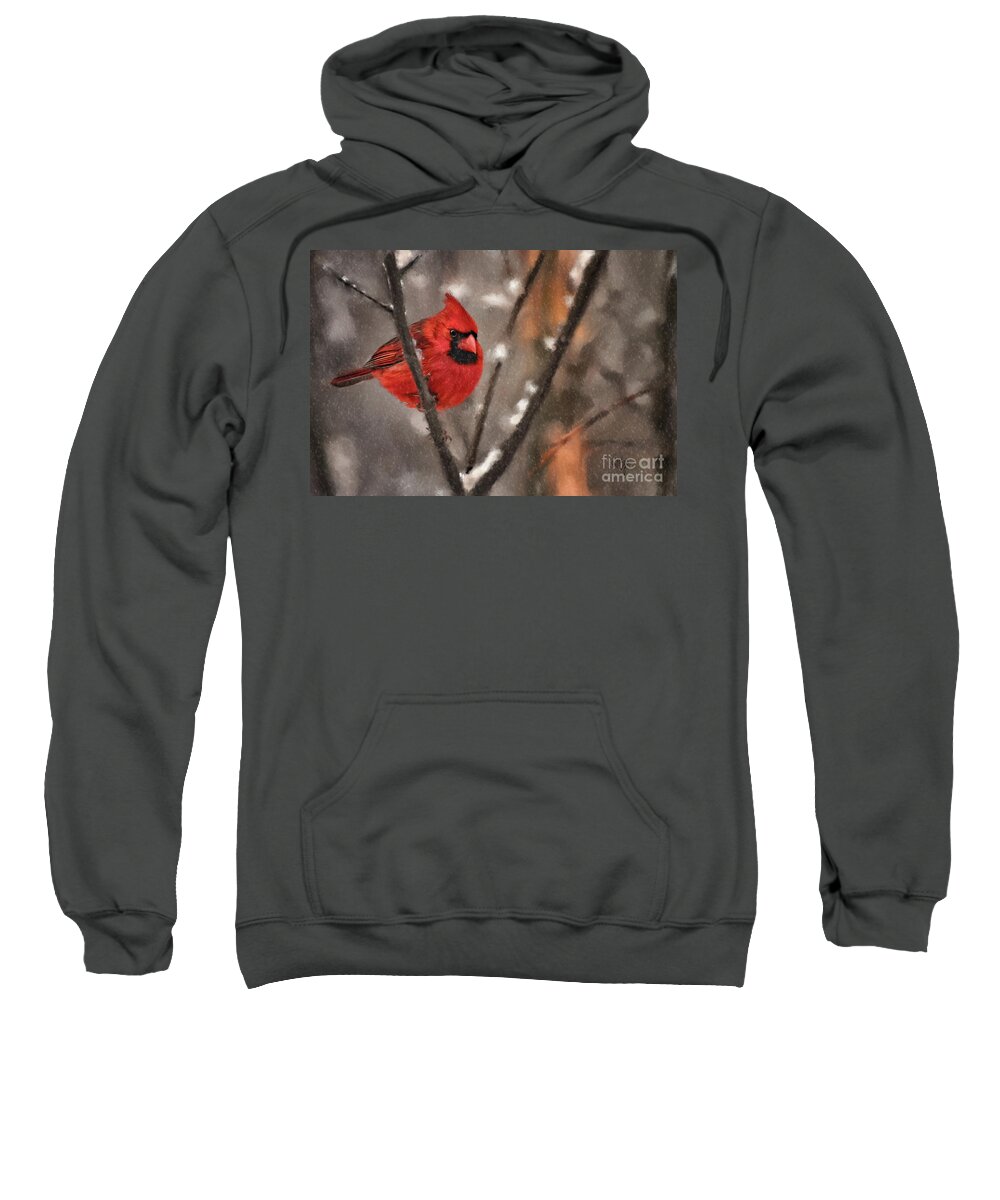Cardinal Sweatshirt featuring the digital art A Spot Of Color by Lois Bryan