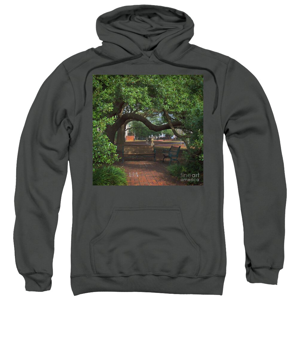 Culture Sweatshirt featuring the photograph A Spot To Dream by Skip Willits