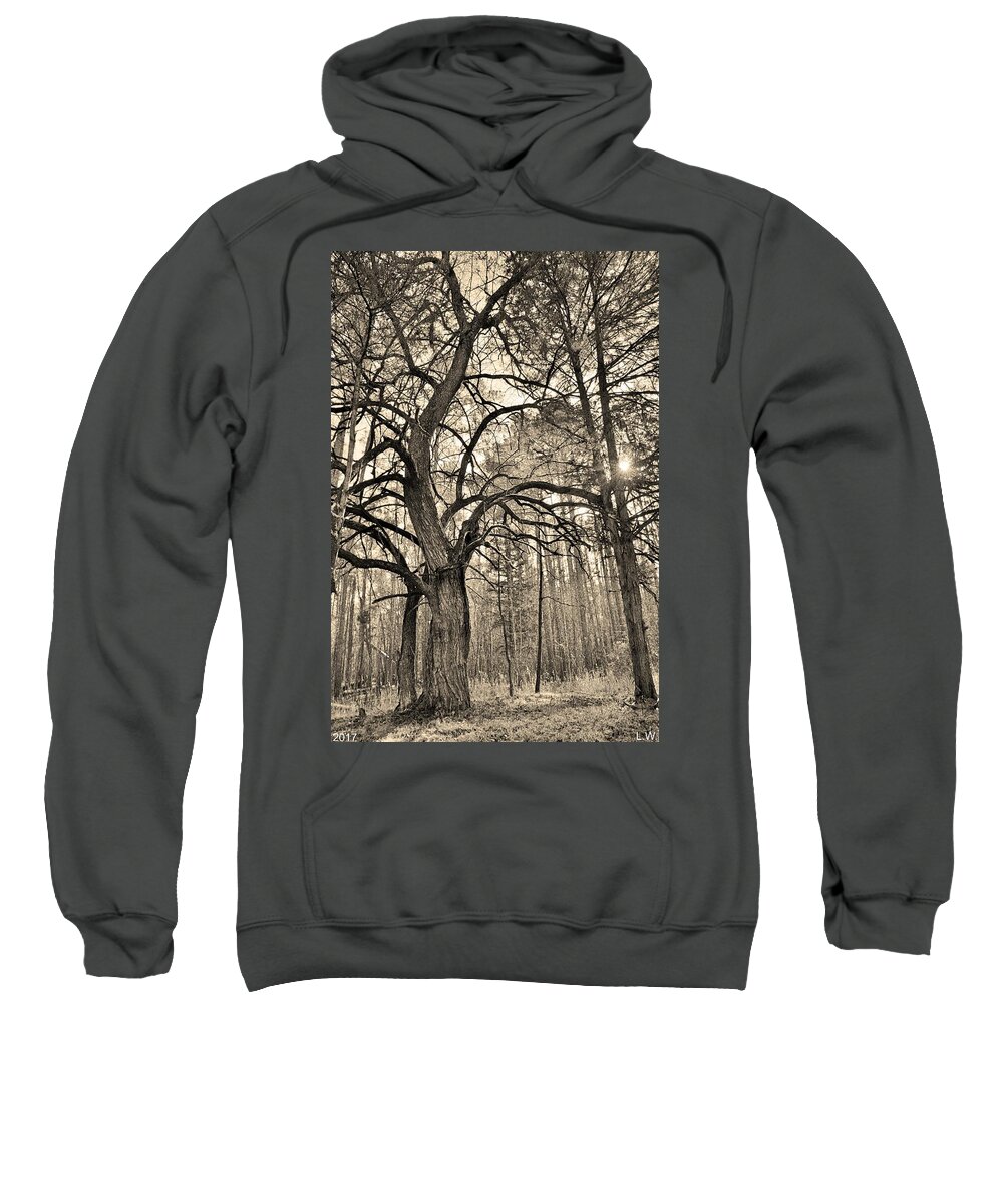 A Tree In The Forest Vertical Black And White Sweatshirt featuring the photograph A Tree In The Forest Vertical Black And White by Lisa Wooten