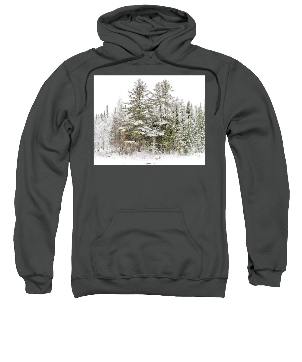 Winter Sweatshirt featuring the photograph Evergreen Winter by Rod Best