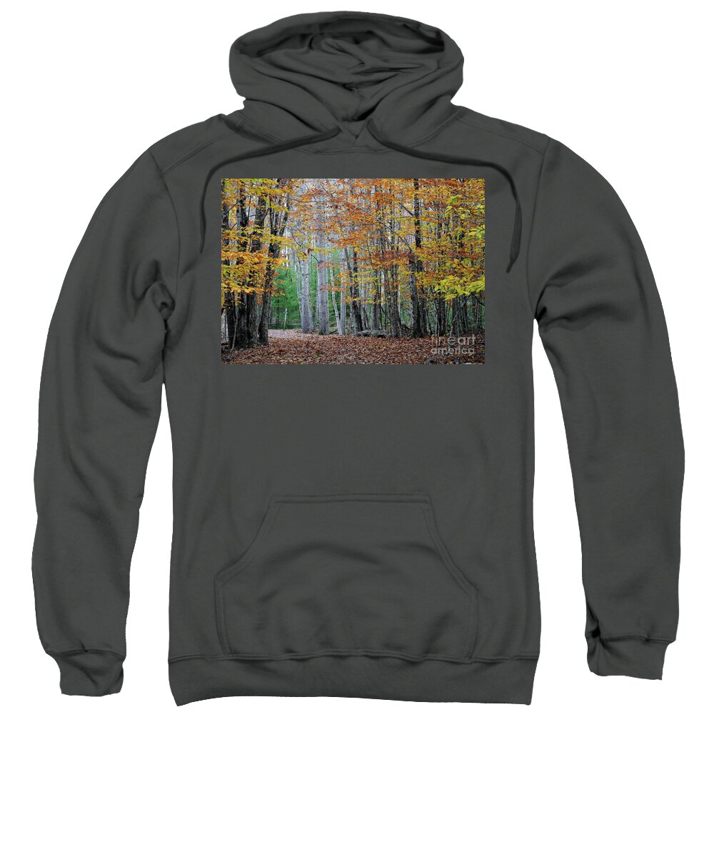 Path Sweatshirt featuring the photograph Autumn in Acadia National Park by Kevin Shields