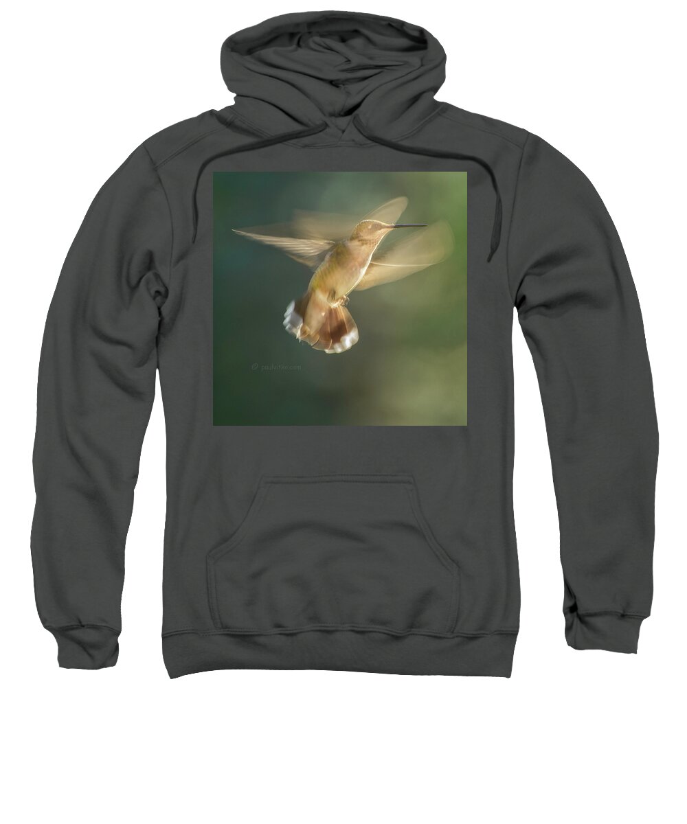 Hummingbirds Sweatshirt featuring the photograph Aerial Dancing.... by Paul Vitko