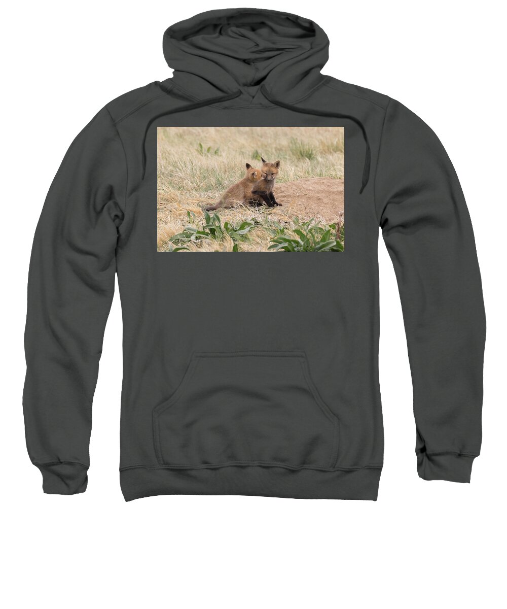 Fox Sweatshirt featuring the photograph Affectionate Red Fox Kits by Tony Hake
