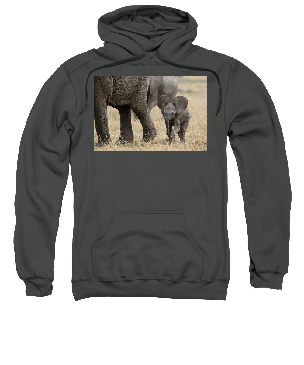 00784043 Sweatshirt featuring the photograph African Elephant Mother And Under 3 by Suzi Eszterhas