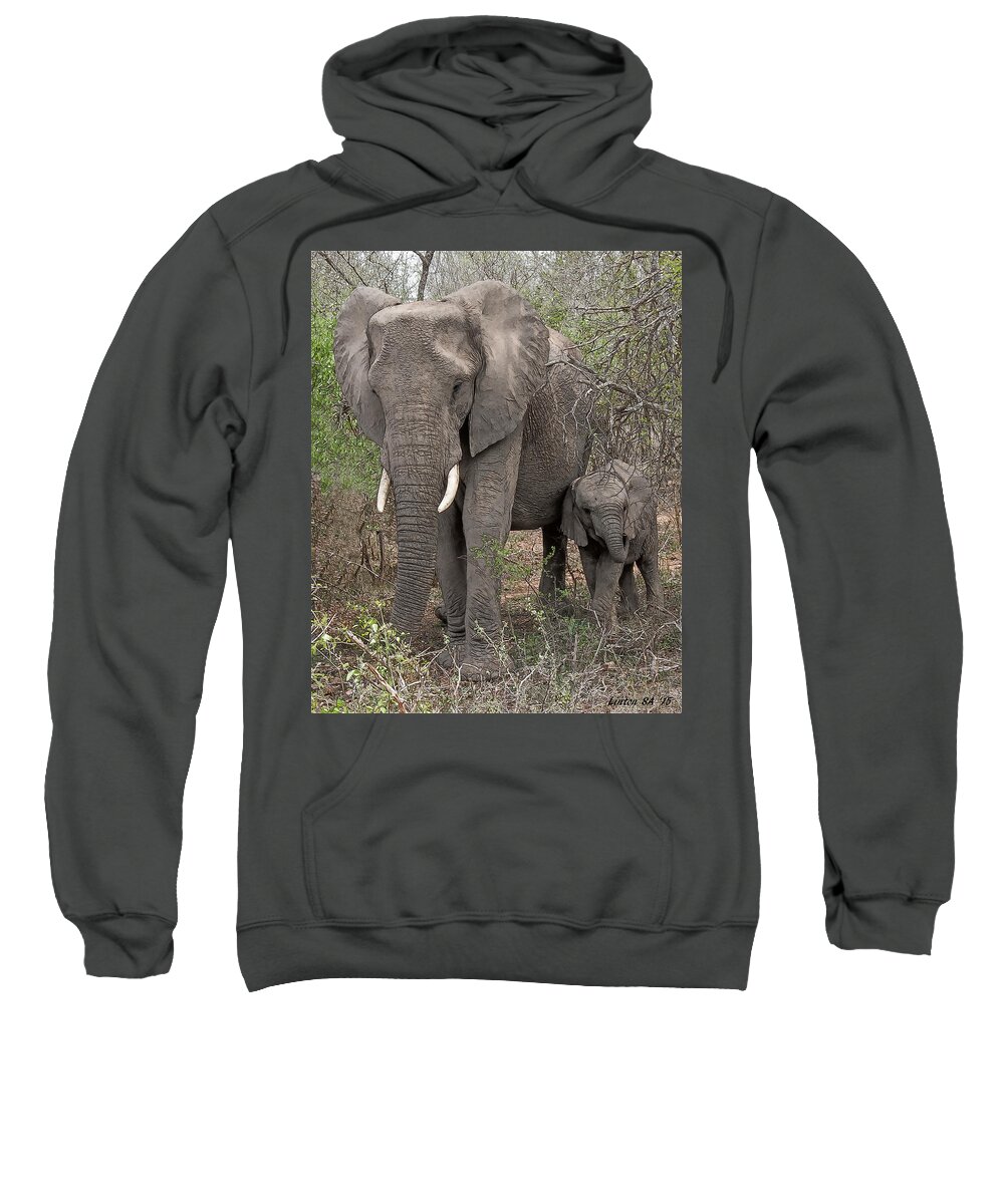 African Elephants Sweatshirt featuring the digital art African Elephants by Larry Linton