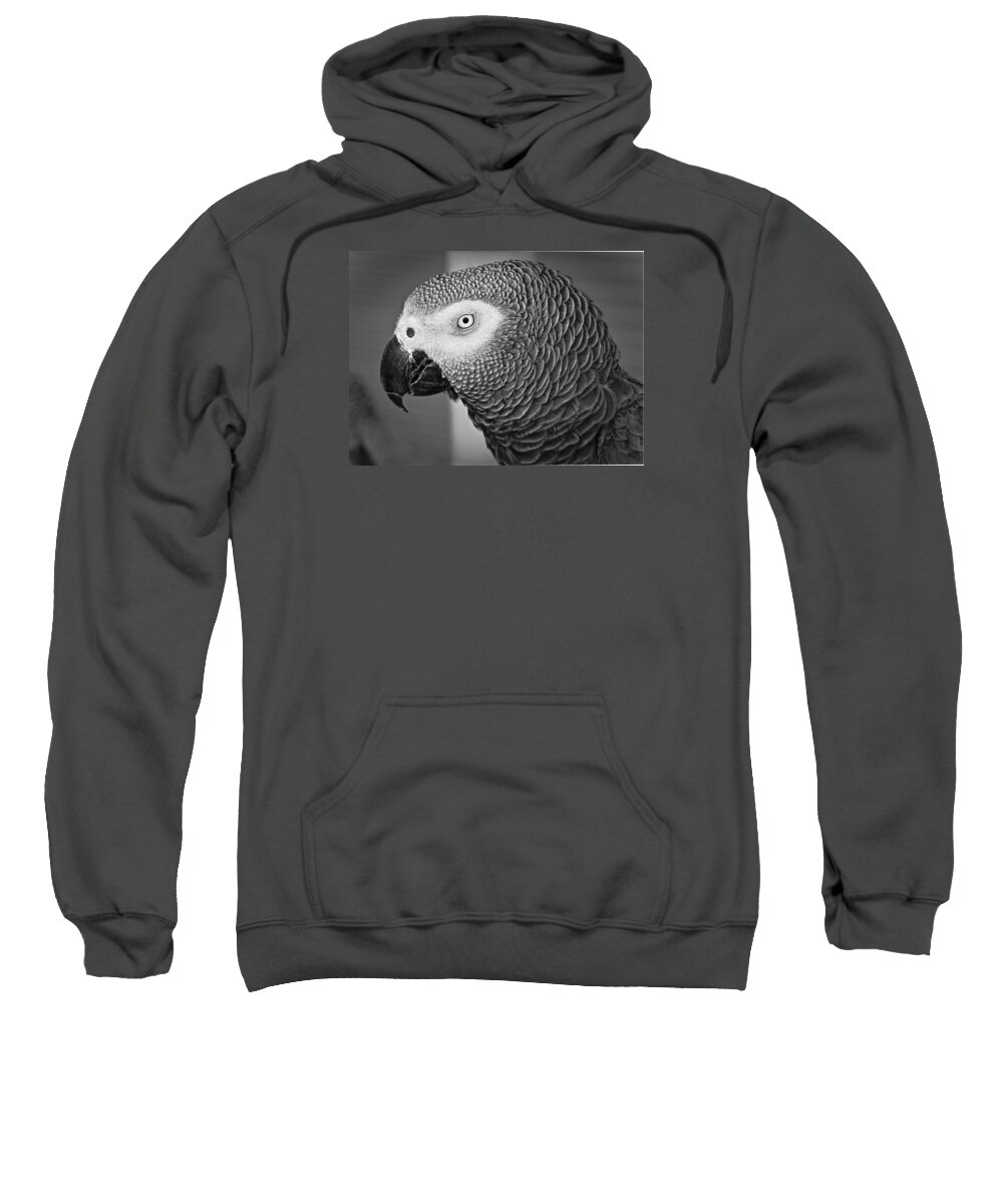 Parrot Sweatshirt featuring the photograph African Grey Parrot by Venetia Featherstone-Witty