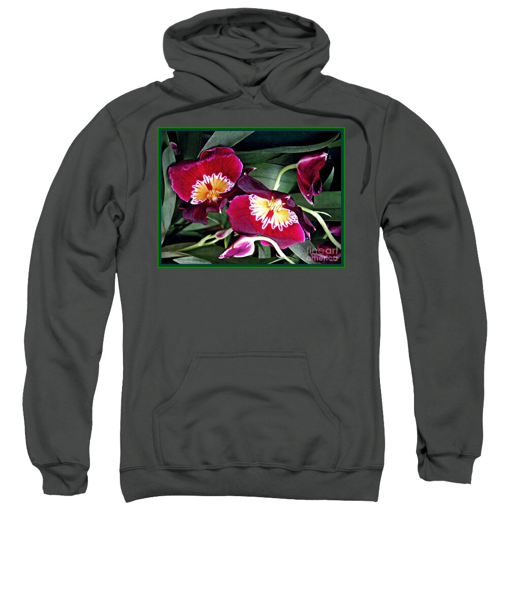 Orchid Sweatshirt featuring the photograph Red Pansy Orchids by Sarah Loft