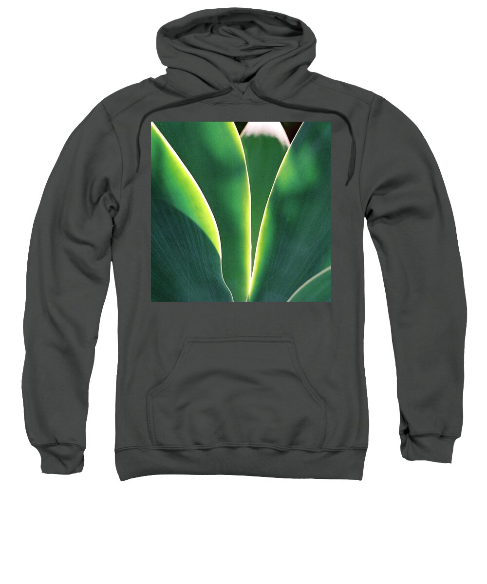 Surfing Sweatshirt featuring the photograph Agave by Nik West