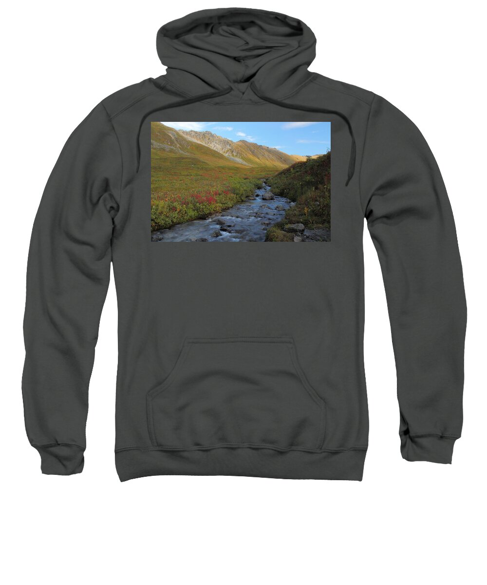 Alaska Sweatshirt featuring the photograph Alaska Fireweed and Willow Creek Along Hatcher Pass Road by Steve Wolfe