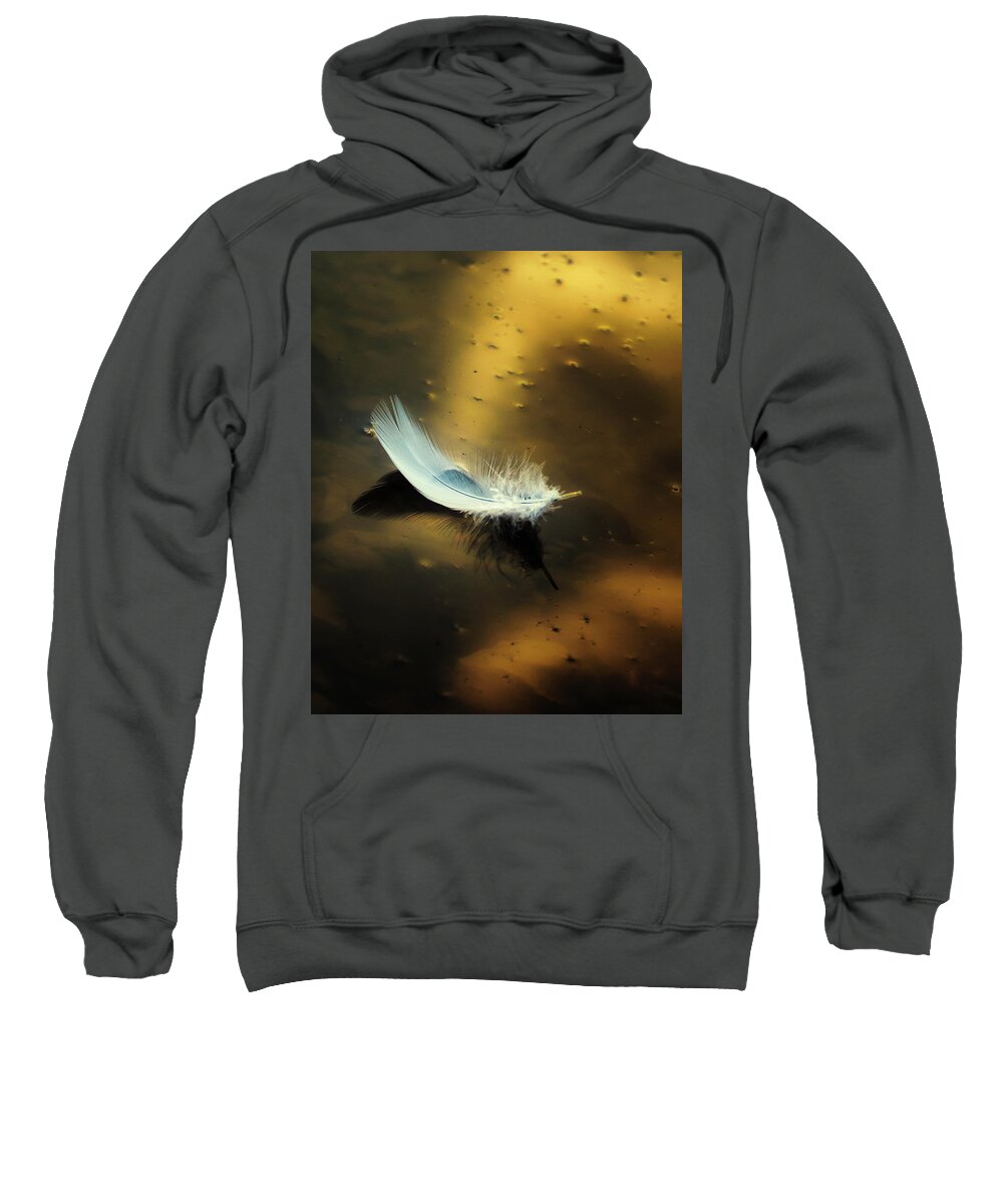 Still Life Sweatshirt featuring the photograph Along Golden Shores by Ron McGinnis