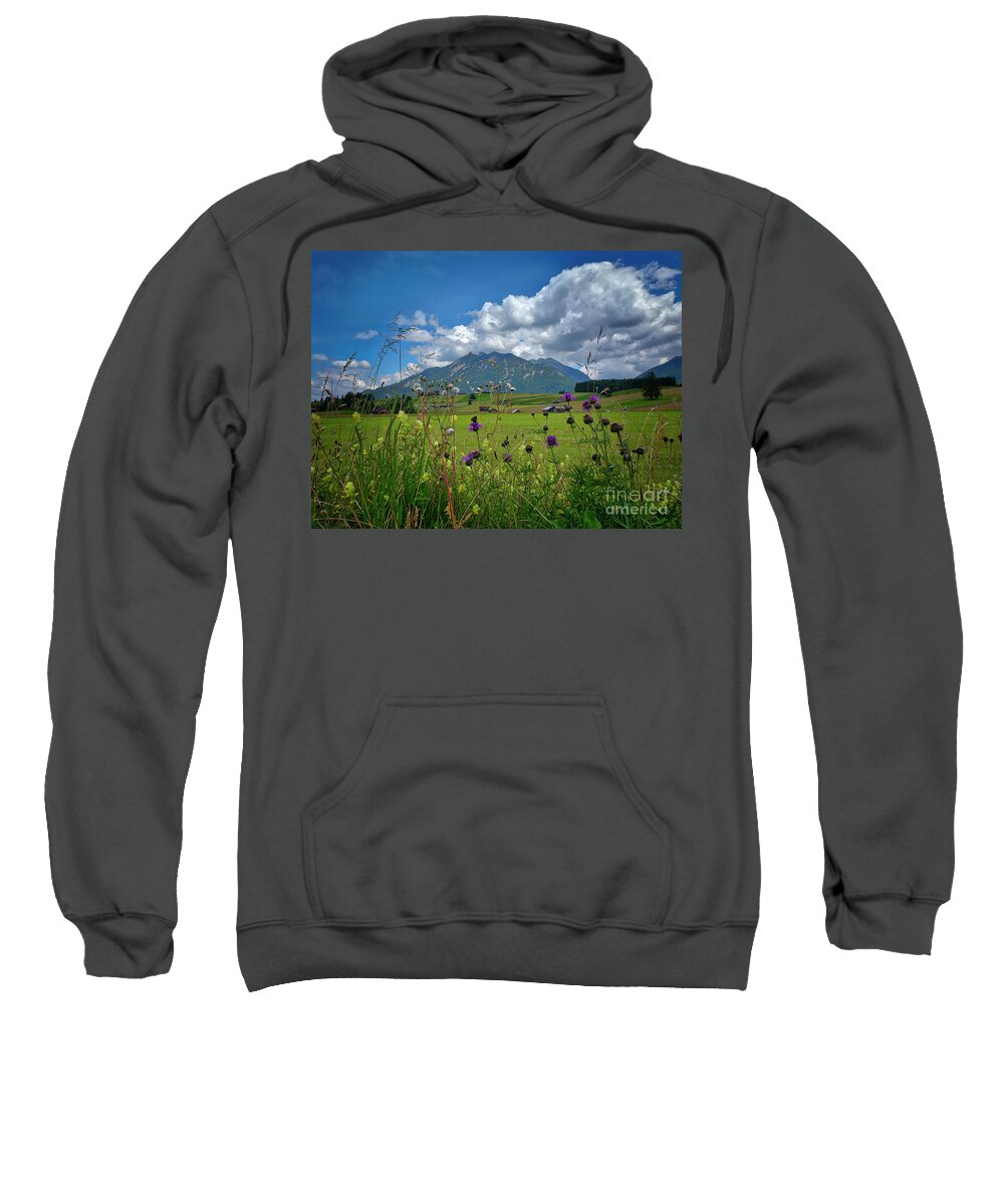 Nag005006 Sweatshirt featuring the photograph Alpine Beauty by Edmund Nagele FRPS