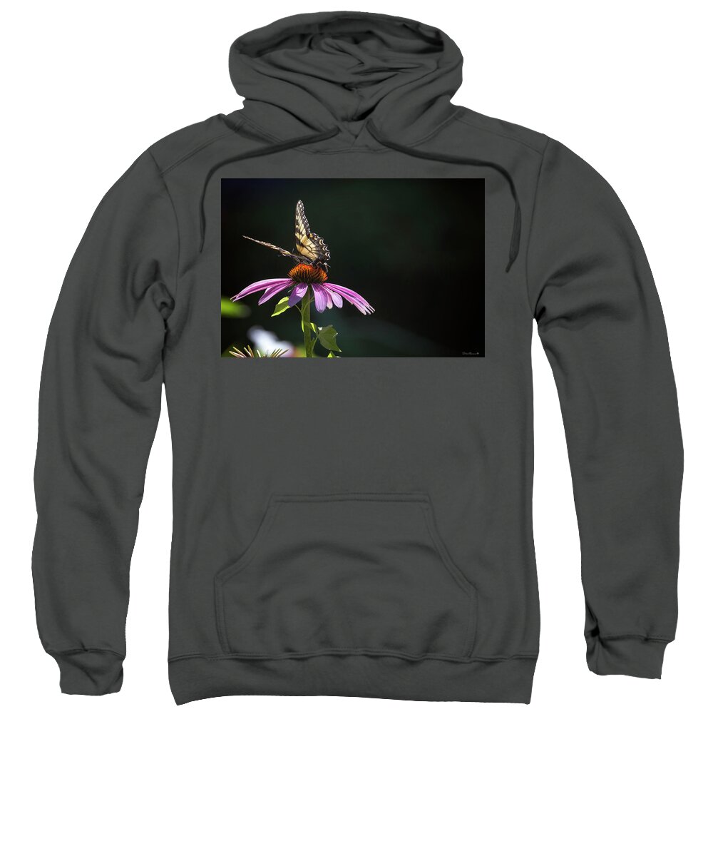  Sweatshirt featuring the photograph Always June by Phil Mancuso