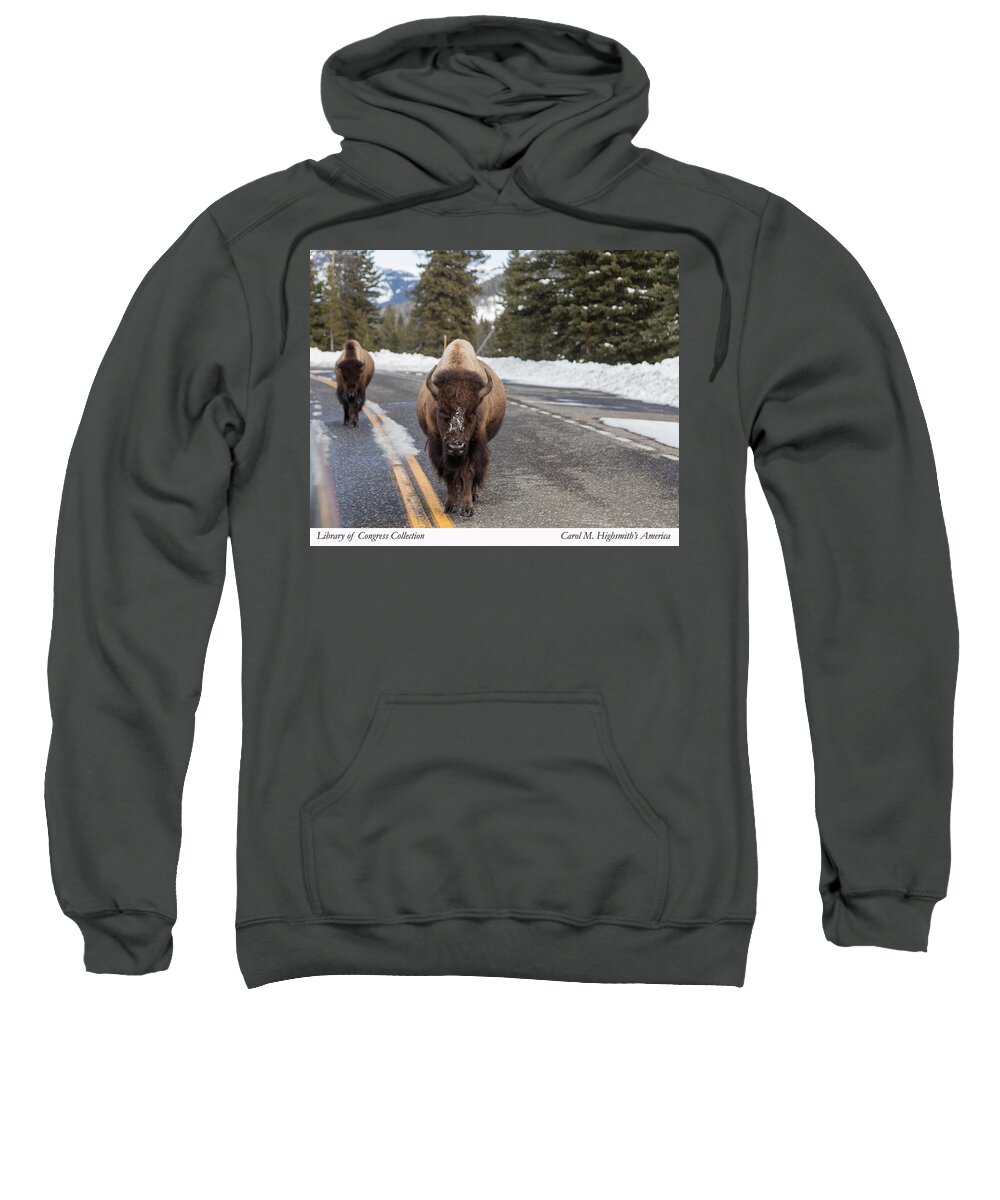 Carol M. Highsmith Sweatshirt featuring the photograph American bison in Yellowstone National Park by Carol M Highsmith