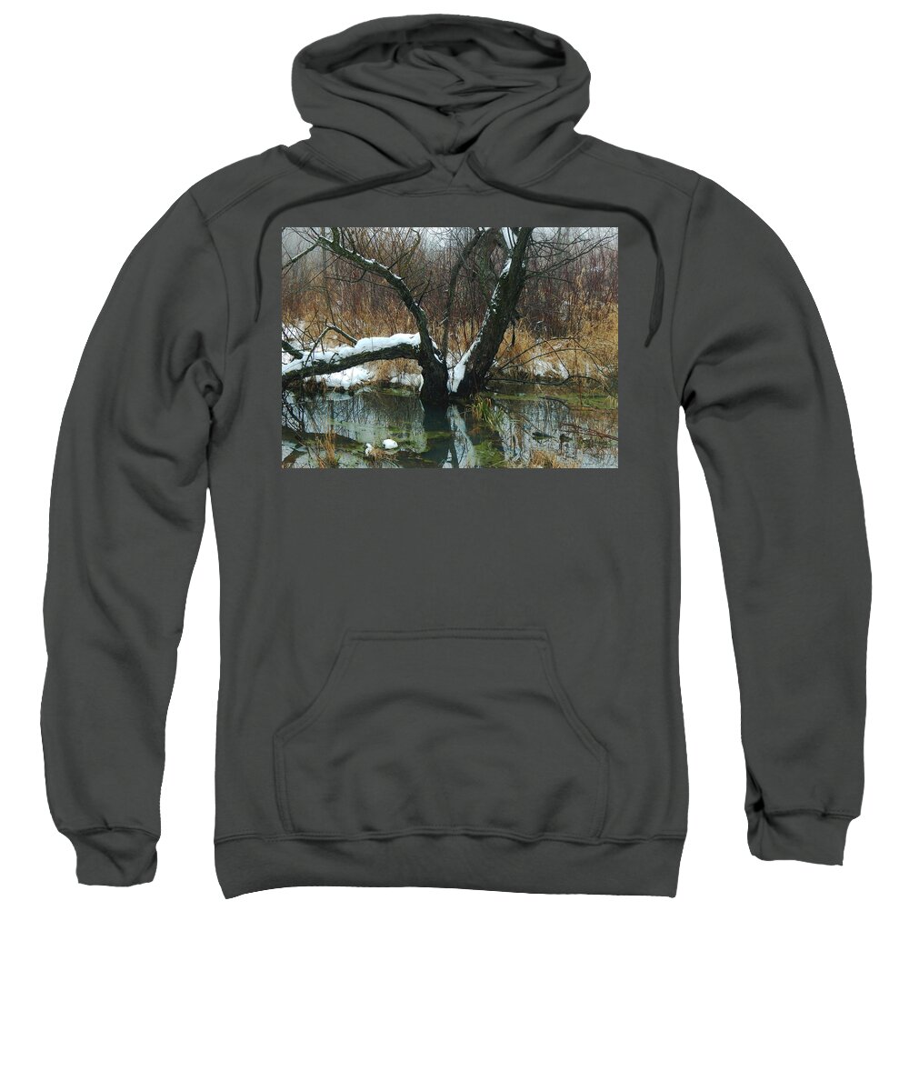 Winter Sweatshirt featuring the photograph Amid the Snow and Cold by Wild Thing