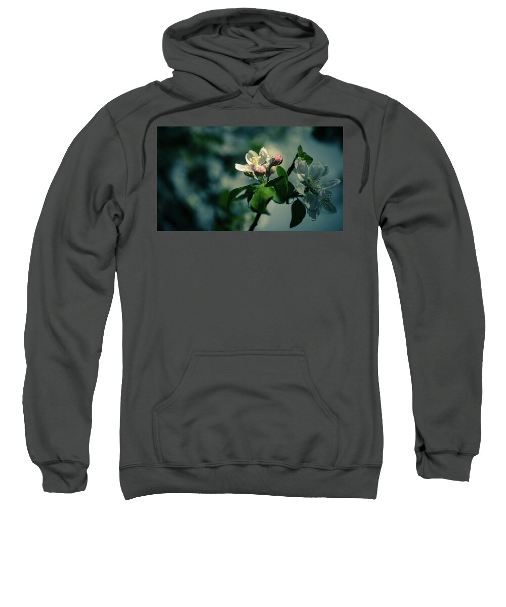 Nature Sweatshirt featuring the photograph Apple Blossom by Andreas Levi