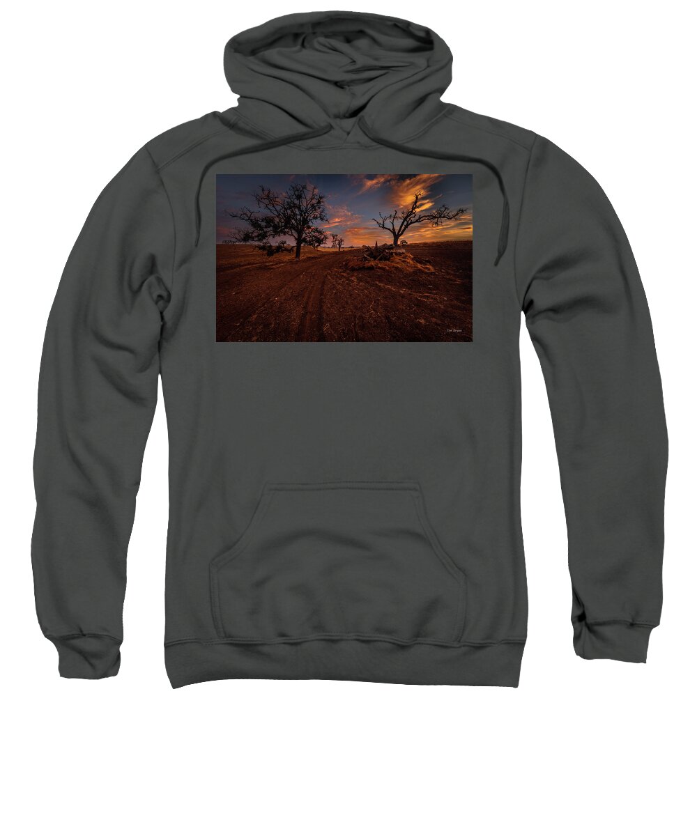 Dramatic Sweatshirt featuring the photograph Arrival by Tim Bryan