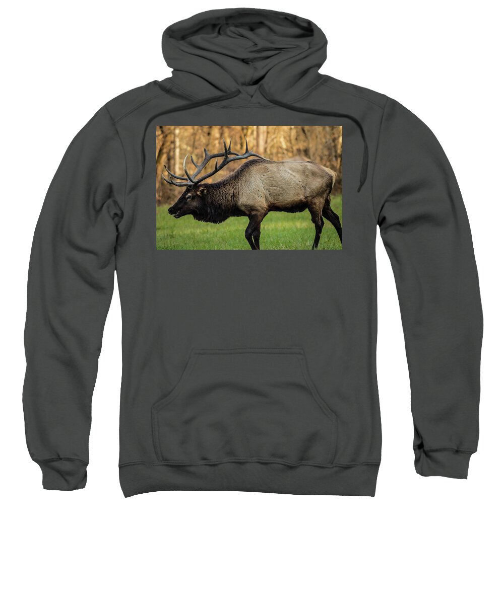 Elk Sweatshirt featuring the photograph Elk in the Smokies by George Kenhan