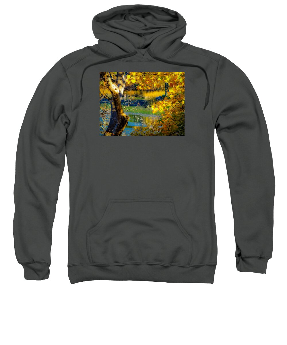 Landscapes Sweatshirt featuring the photograph As Fall Leaves by Glenn Feron