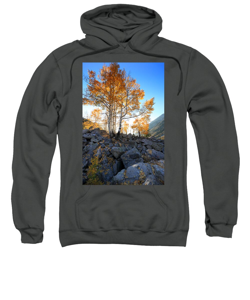Landscape Sweatshirt featuring the photograph Aspen Glow by Brett Pelletier