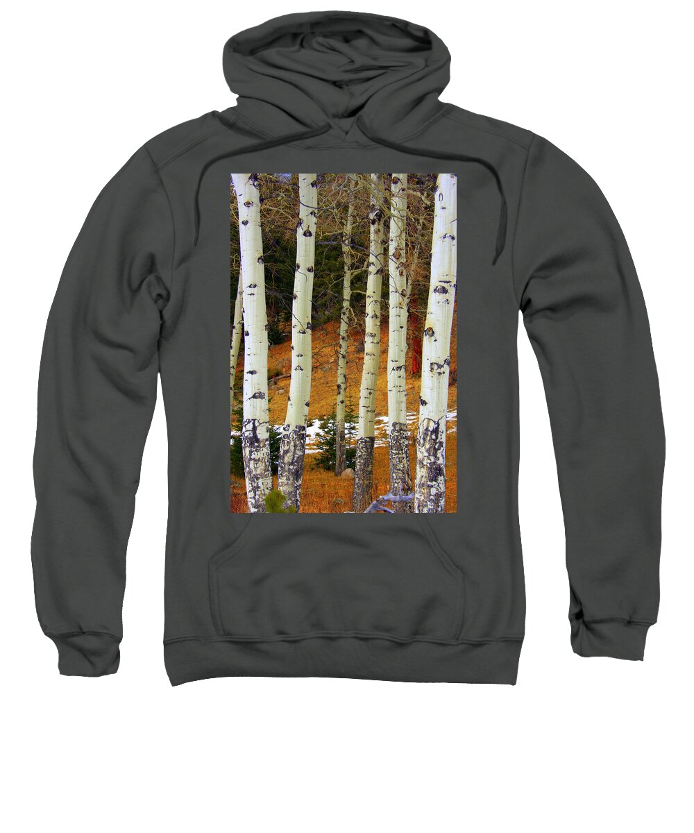 Aspens Sweatshirt featuring the photograph Aspens of white by Julie Lueders 