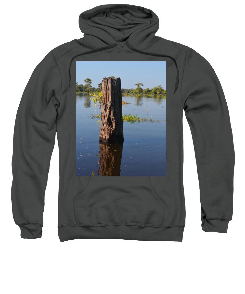 Bald Cypress Sweatshirt featuring the photograph Atchafalaya Basin 22 Southern Louisiana by Maggy Marsh