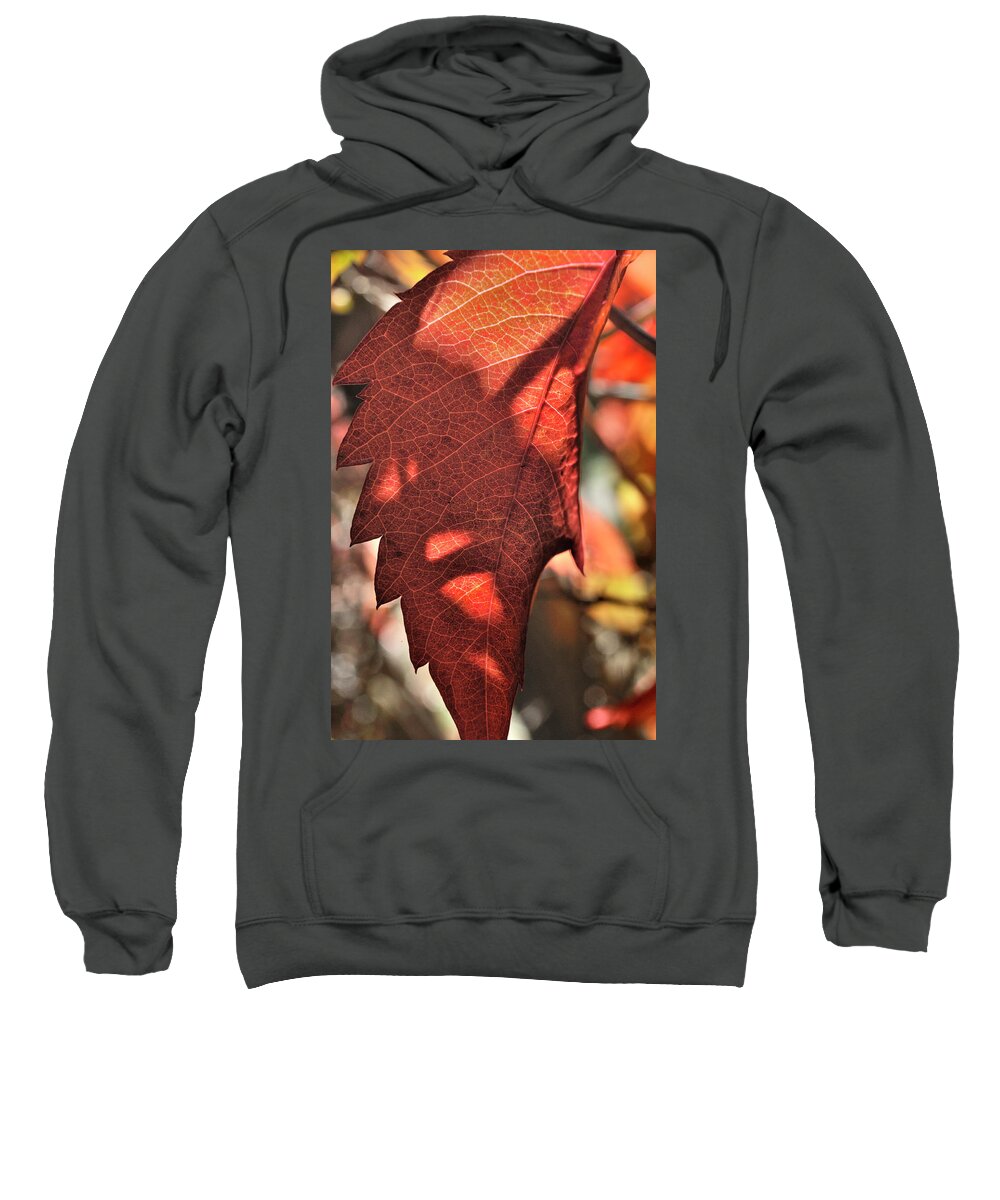 Nature Sweatshirt featuring the photograph Auburn Autumn by Ron Cline