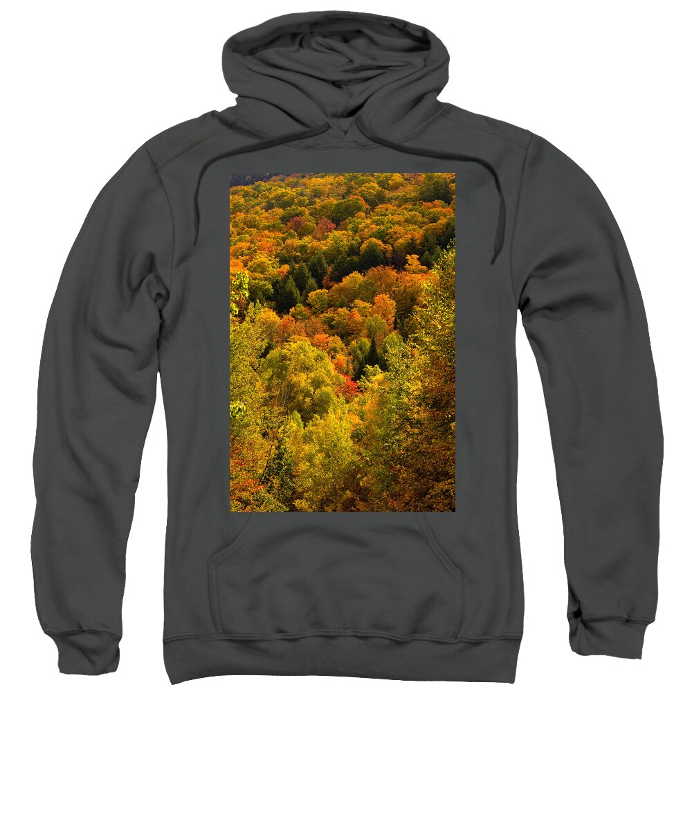 Autumn Sweatshirt featuring the photograph Autumn at Acadia by Brent L Ander