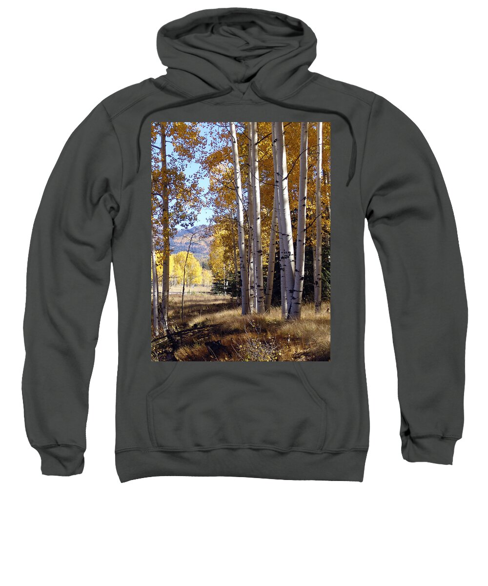 Autumn Sweatshirt featuring the photograph Autumn Chama New Mexico by Kurt Van Wagner