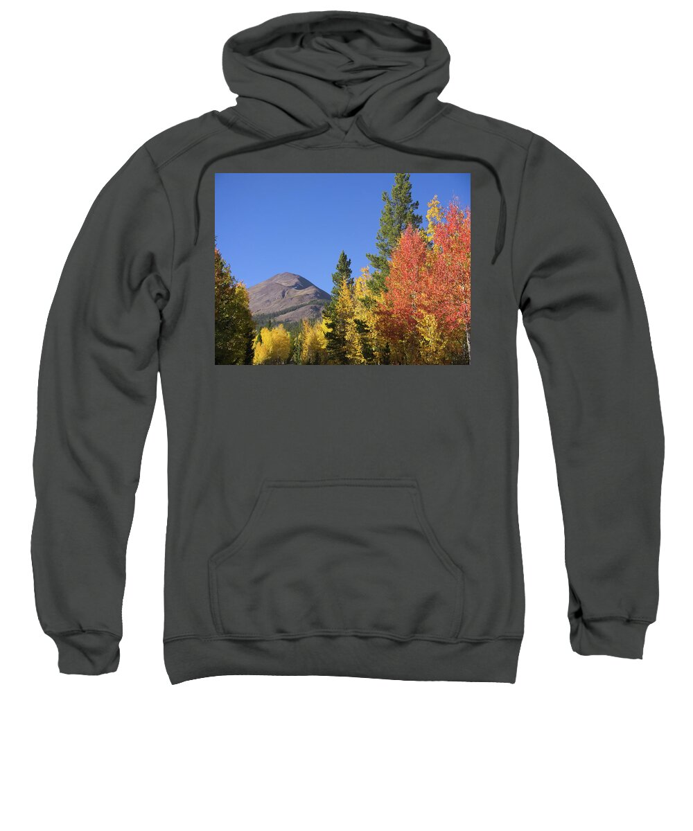 Aspen Sweatshirt featuring the photograph Autumn Colors by Ivan Franklin